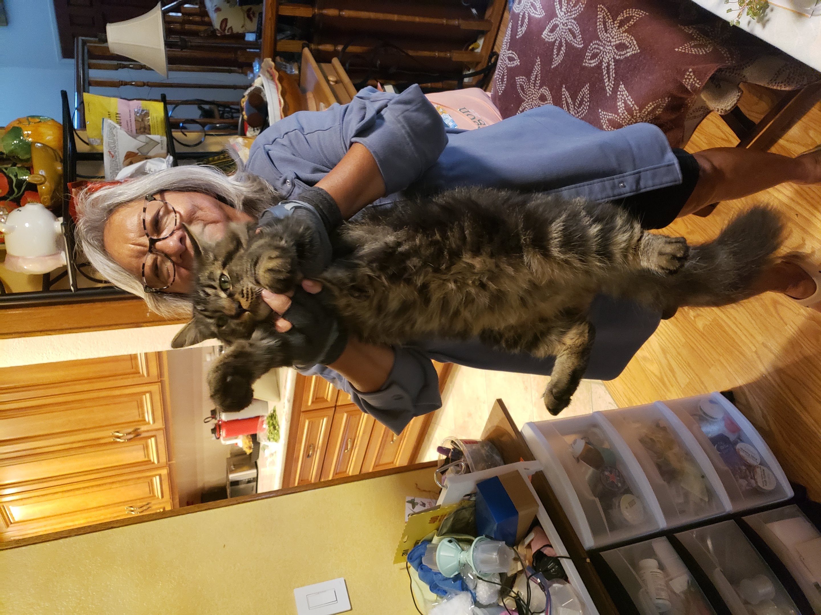 Holding the cat